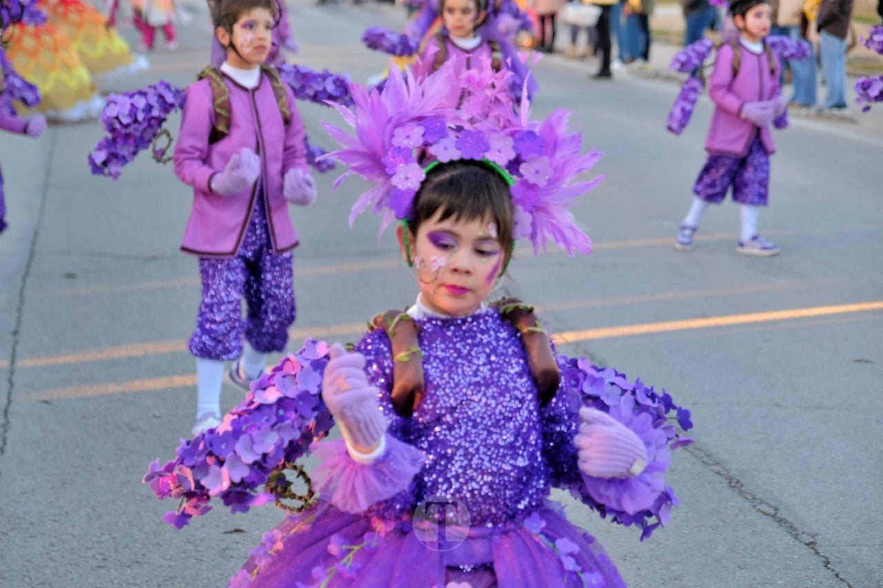 Escuela de Danza Attitude y El Burleta logran los máximos premios del Desfile Nacional de Carnaval
