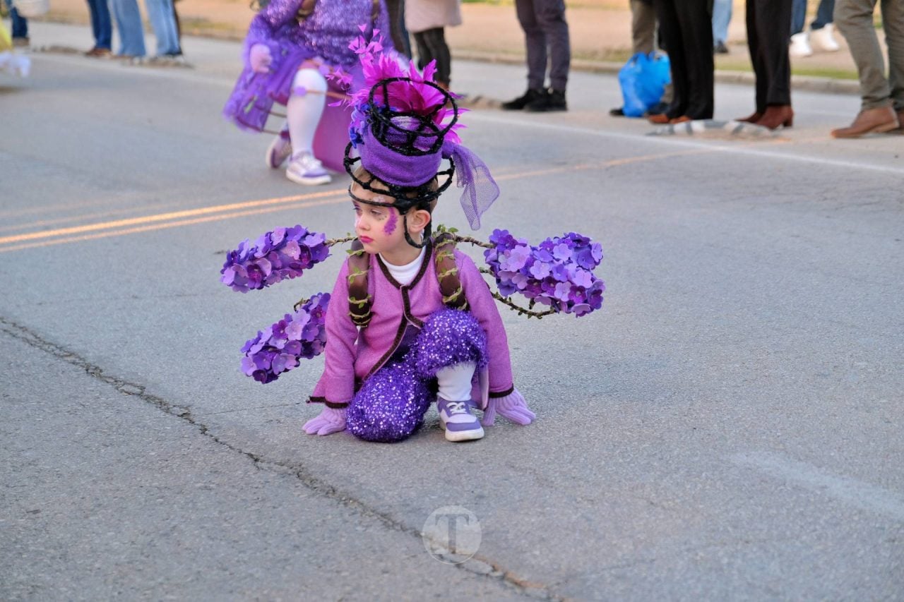 Escuela de Danza Attitude y El Burleta logran los máximos premios del Desfile Nacional de Carnaval