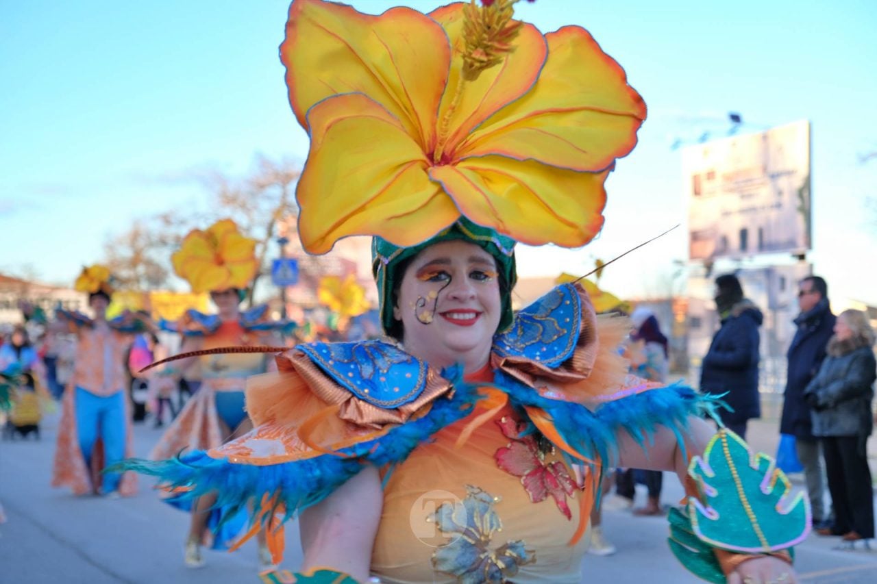Escuela de Danza Attitude y El Burleta logran los máximos premios del Desfile Nacional de Carnaval