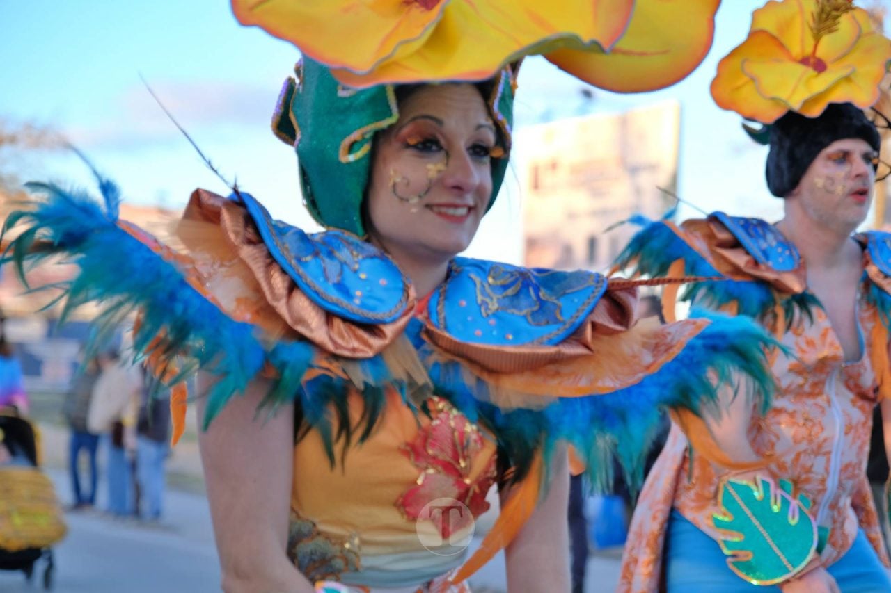 Escuela de Danza Attitude y El Burleta logran los máximos premios del Desfile Nacional de Carnaval
