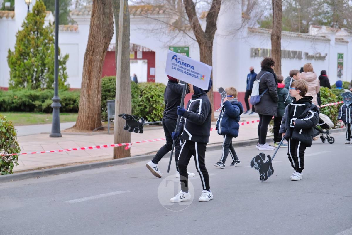 El Entierro de la Sardina pone el broche final al Carnaval de Tomelloso 2026