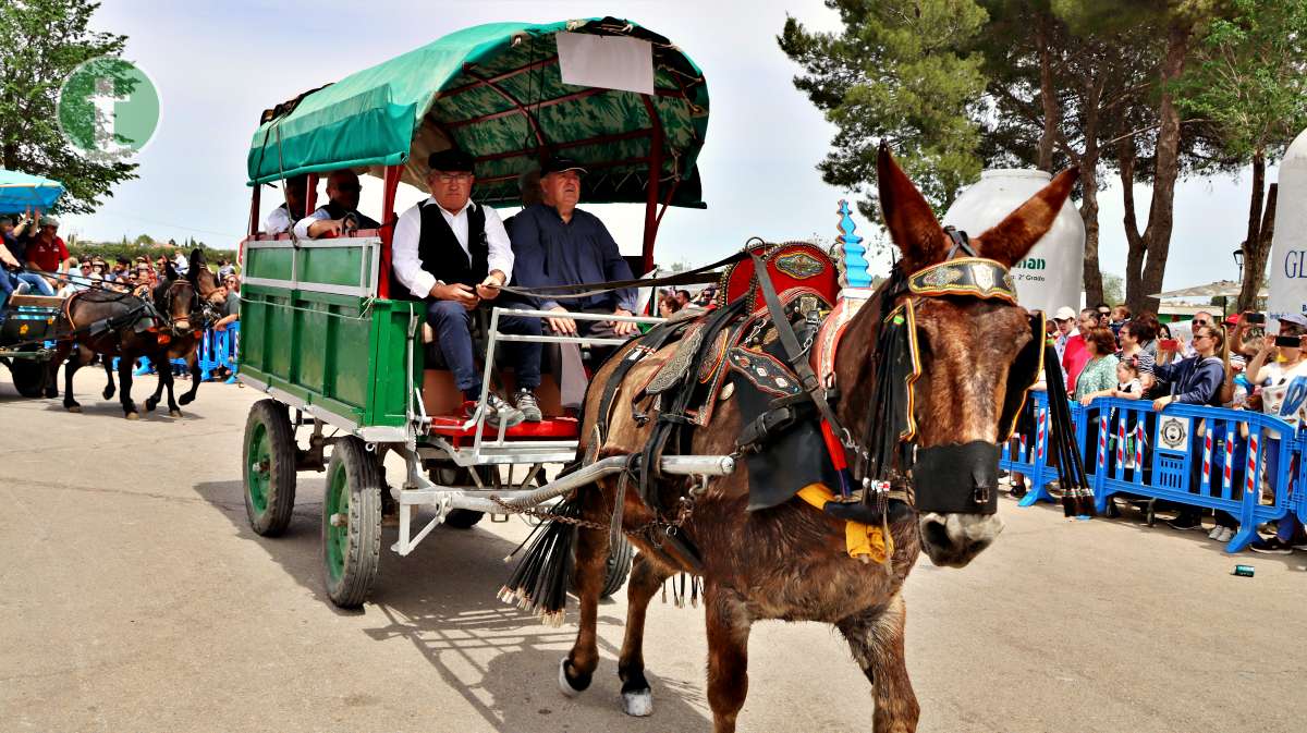 La Hermandad entrega a Eulogio Benito el reconocimiento por su defensa de las mulas y las reatas
