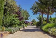 Tomelloso reabre varios parques tras el temporal, que dejó más de un centenar de árboles dañados