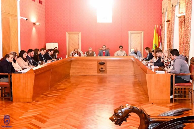 El Pleno aprueba una moción contra la regularización masiva de inmigrantes con el rechazo del PSOE