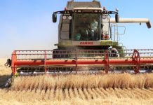 C-LM repartirá 8 millones de euros a 286 jóvenes para que trabajen en el campo