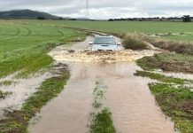ASAJA Ciudad Real denuncia el impacto “muy grave” de las lluvias y el viento en el campo provincial