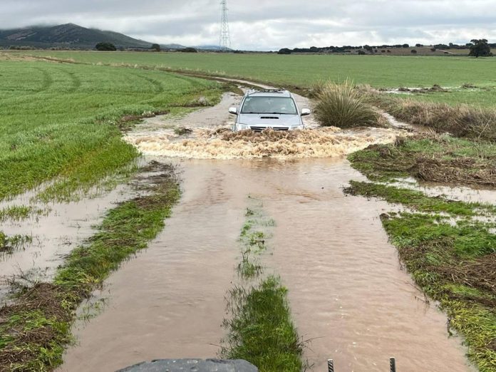 danos-en-cultivos-en-ciudad-real-7-2026-02-11_10-15