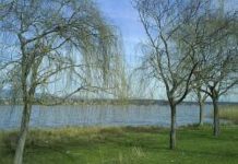 Los embalses alcanzan su nivel más alto para estas fechas desde 2014 tras el tren de borrascas