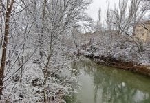 Del calor al hielo: Hellín y Tobarra superan los 20 ºC en enero mientras Molina de Aragón baja a -14 ºC