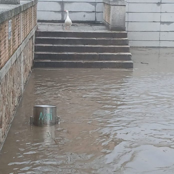 rio-tajo-en-temporal-2026-02-12_15-54