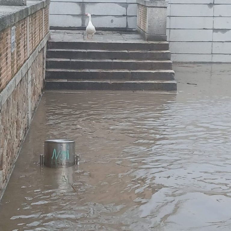Doce estaciones del Tajo en C-LM, en nivel rojo por riesgo de inundaciones