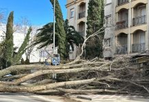 Fue el viento, pero también la dejadez