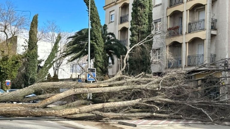Fue el viento, pero también la dejadez