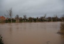 Activadas ayudas para familias y ayuntamientos de Ciudad Real tras los daños de la borrasca ‘Leonardo’ El tiempo en Tomelloso hoy