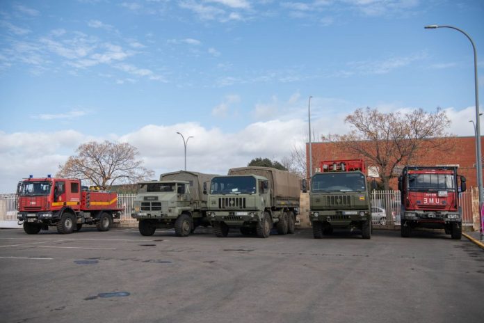 ume-2026-02-16_15-42