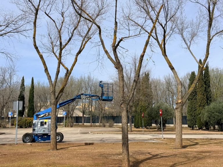La savia brotando, y el concejal de parques y jardines podando