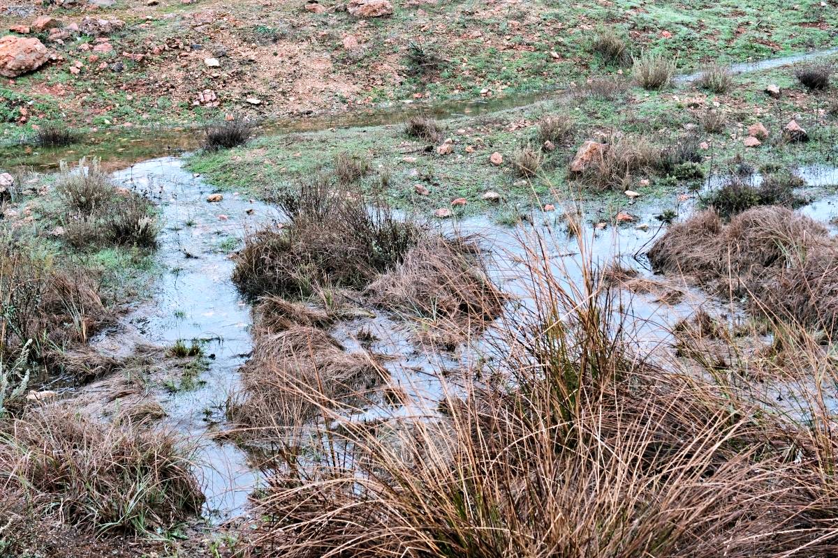 Las Lagunas de Ruidera se llenan a una velocidad histórica