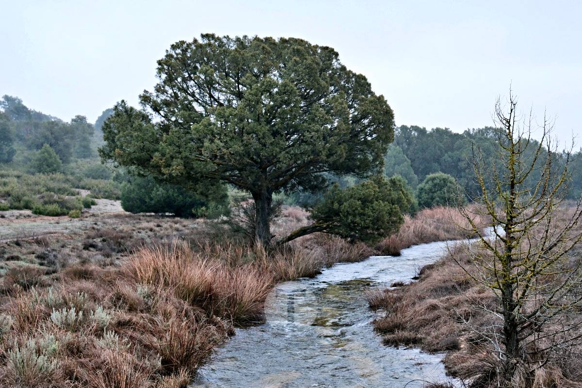 Las Lagunas de Ruidera se llenan a una velocidad histórica