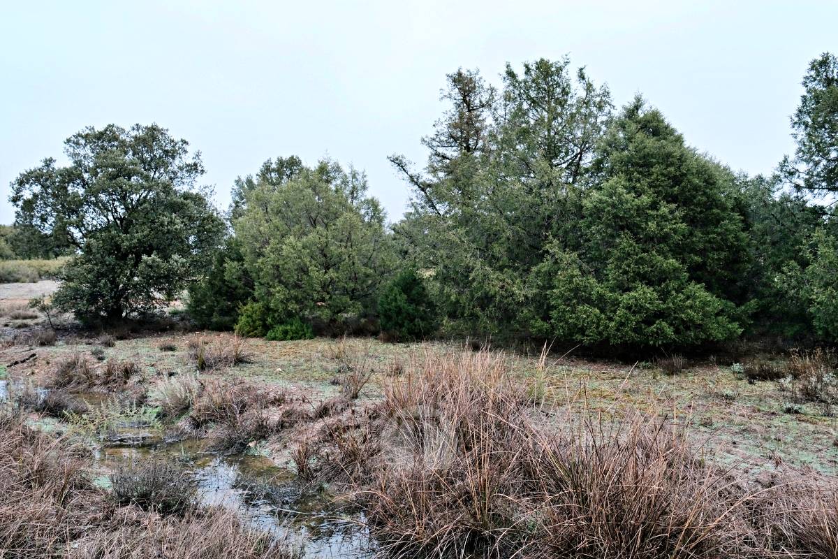 Las Lagunas de Ruidera se llenan a una velocidad histórica