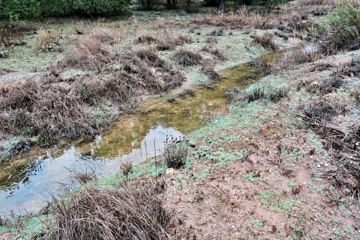 Las Lagunas de Ruidera se llenan a una velocidad histórica