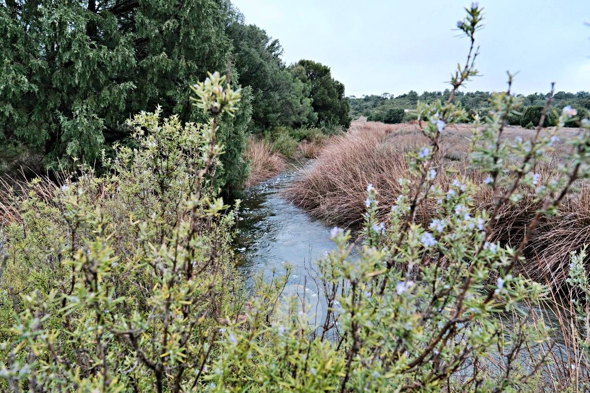 Las Lagunas de Ruidera se llenan a una velocidad histórica