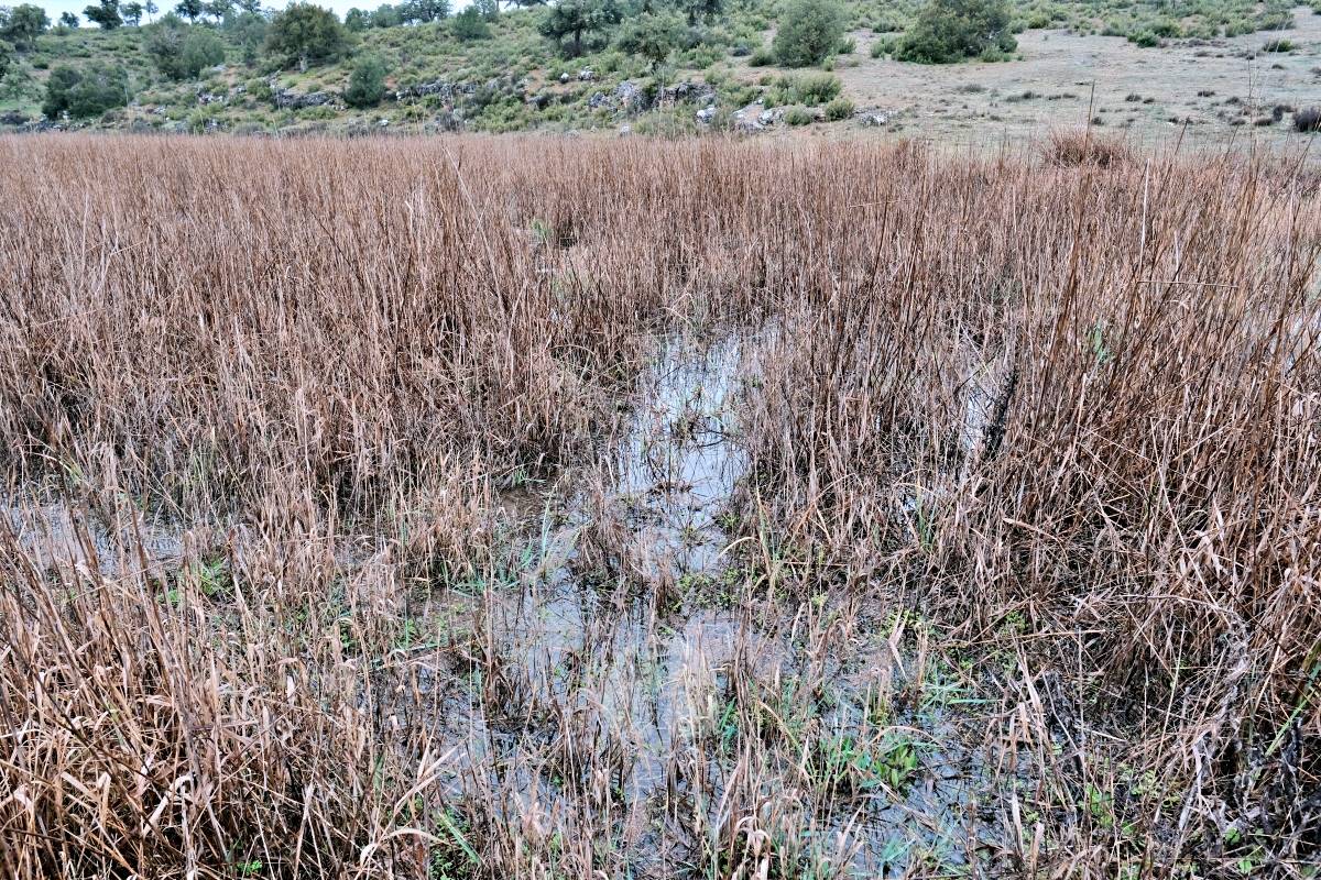 Las Lagunas de Ruidera se llenan a una velocidad histórica