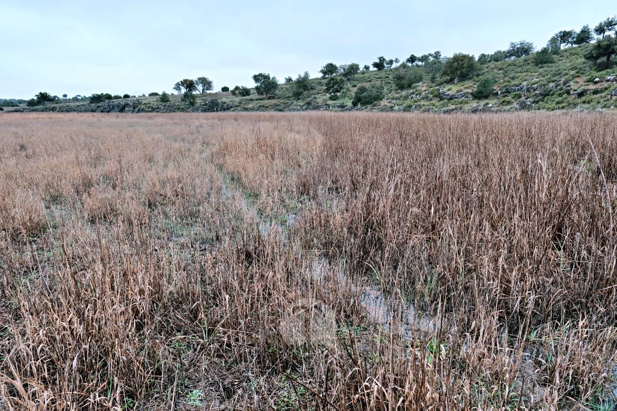 Las Lagunas de Ruidera se llenan a una velocidad histórica