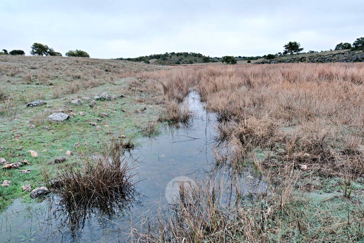 Las Lagunas de Ruidera se llenan a una velocidad histórica