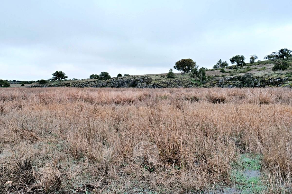 Las Lagunas de Ruidera se llenan a una velocidad histórica