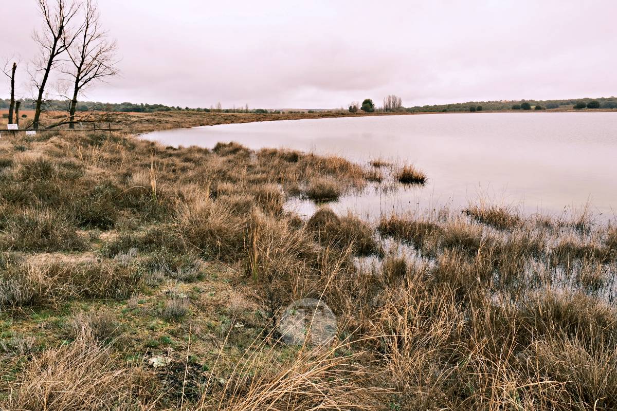 Las Lagunas de Ruidera se llenan a una velocidad histórica