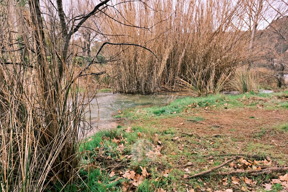 Las Lagunas de Ruidera se llenan a una velocidad histórica