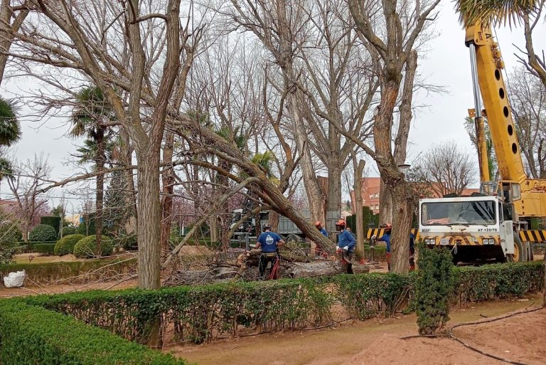 El parque de la Constitución sigue cerrado mientras continúan las labores de mantenimiento