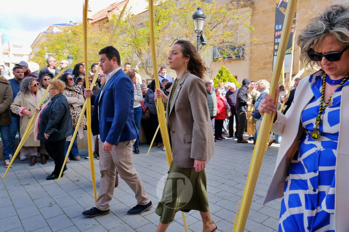 La Borriquilla abre la Semana Santa de Tomelloso en una mañana soleada y marcada por el frío