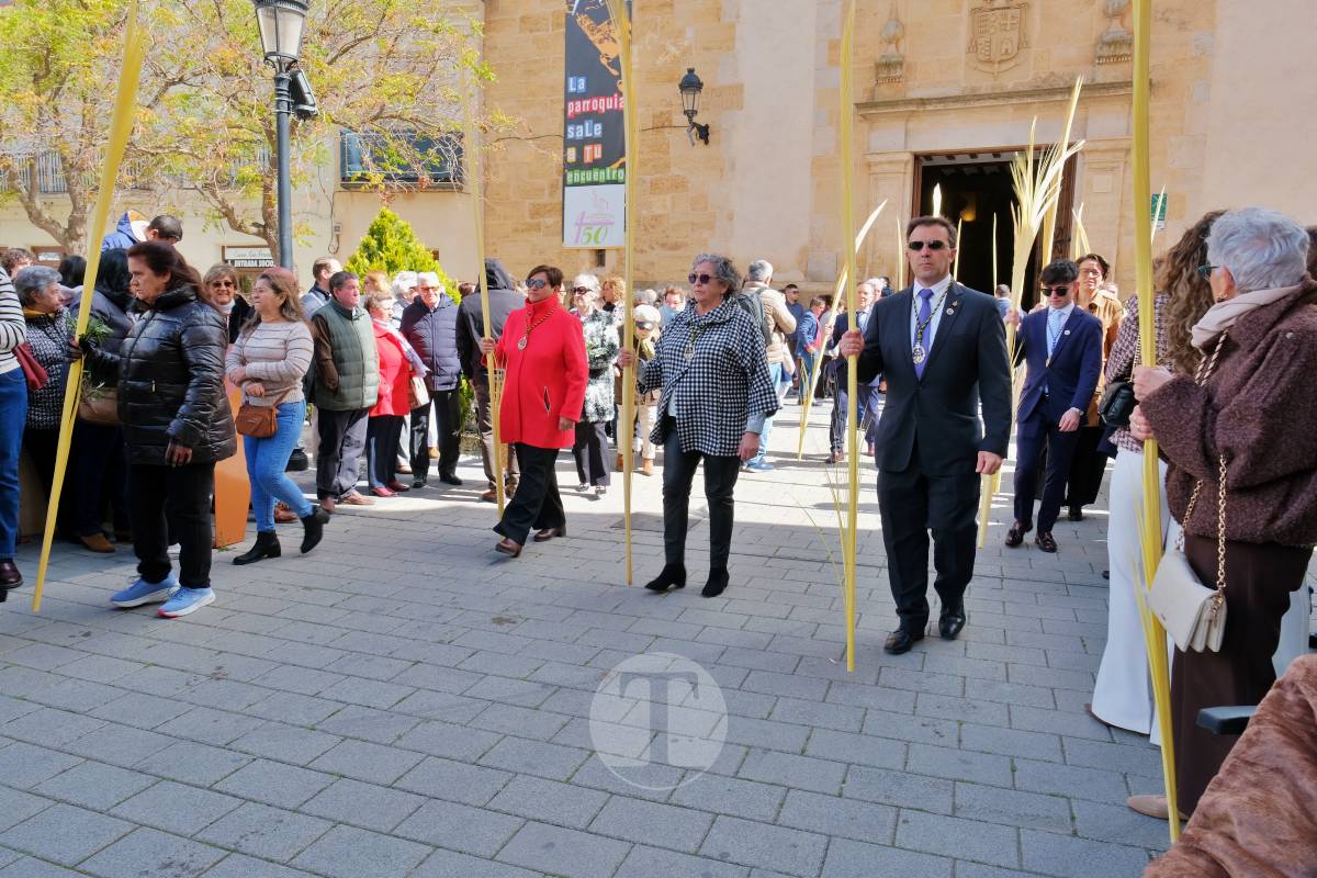 La Borriquilla abre la Semana Santa de Tomelloso en una mañana soleada y marcada por el frío