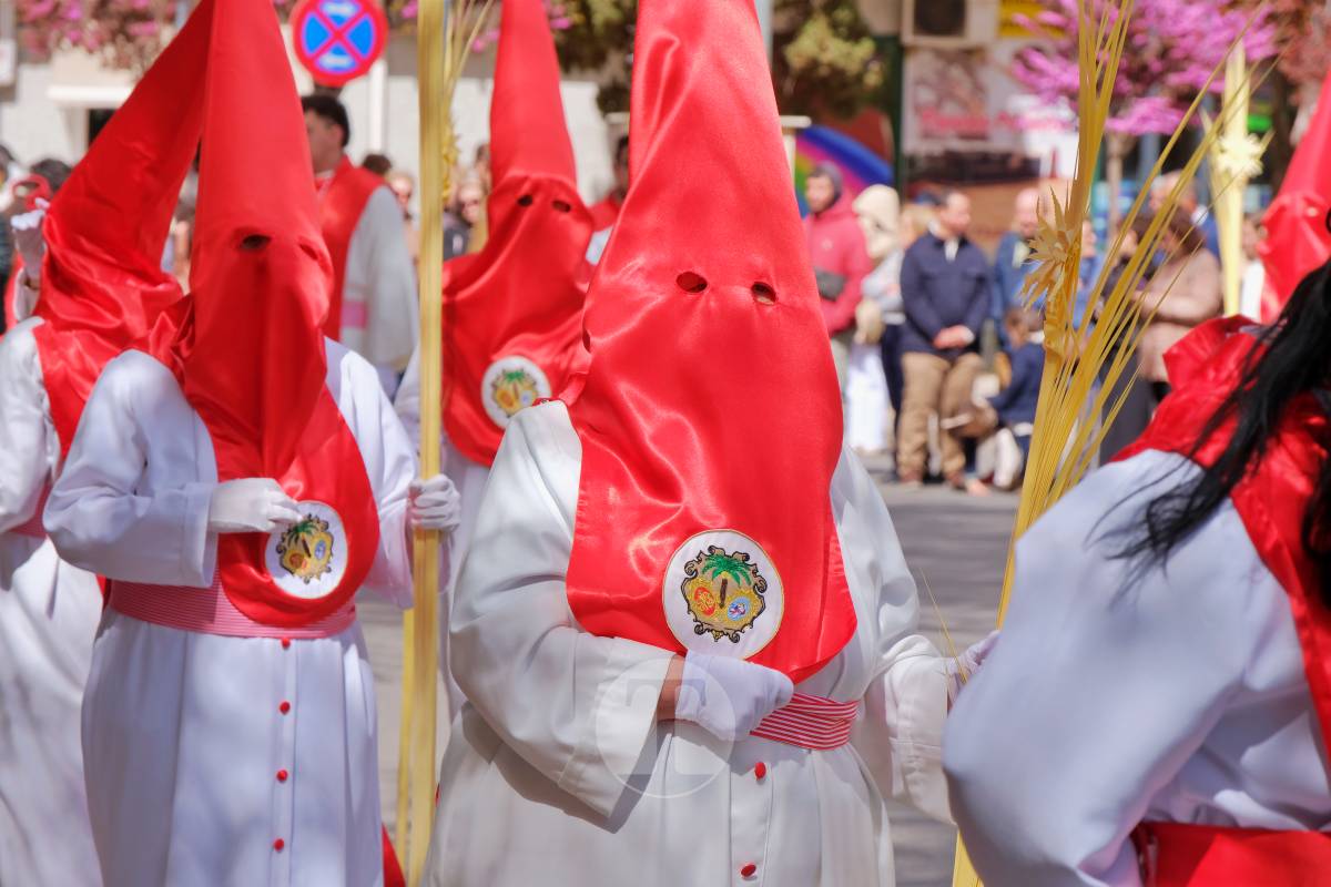 La Borriquilla abre la Semana Santa de Tomelloso en una mañana soleada y marcada por el frío