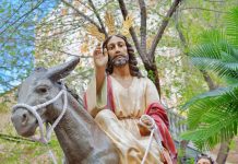 La Borriquilla abre la Semana Santa de Tomelloso en una mañana soleada y marcada por el frío