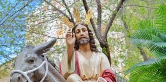 La Borriquilla abre la Semana Santa de Tomelloso en una mañana soleada y marcada por el frío Semana Santa de Tomelloso 2026