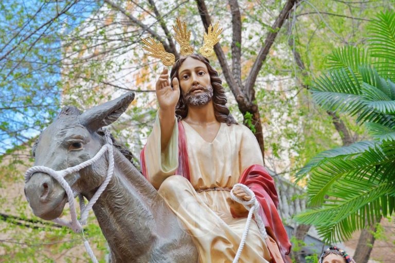La Borriquilla abre la Semana Santa de Tomelloso en una mañana soleada y marcada por el frío
