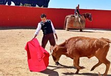 Antonio Linares continúa su preparación para 2026 en un tentadero en Jaén