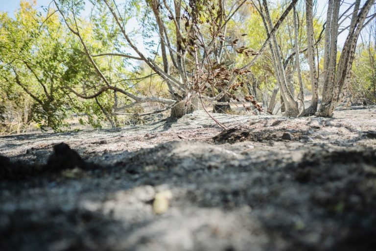 CSIF avisa de falta de medios y personal para prevenir incendios en C-LM este verano
