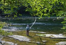Cazadores y pescadores de C-LM podrán ejercer su actividad en otras CCAA con una sola licencia