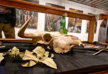 Bodegones y símbolos: Manuel Solana inaugura su exposición en la Posada de los Portales