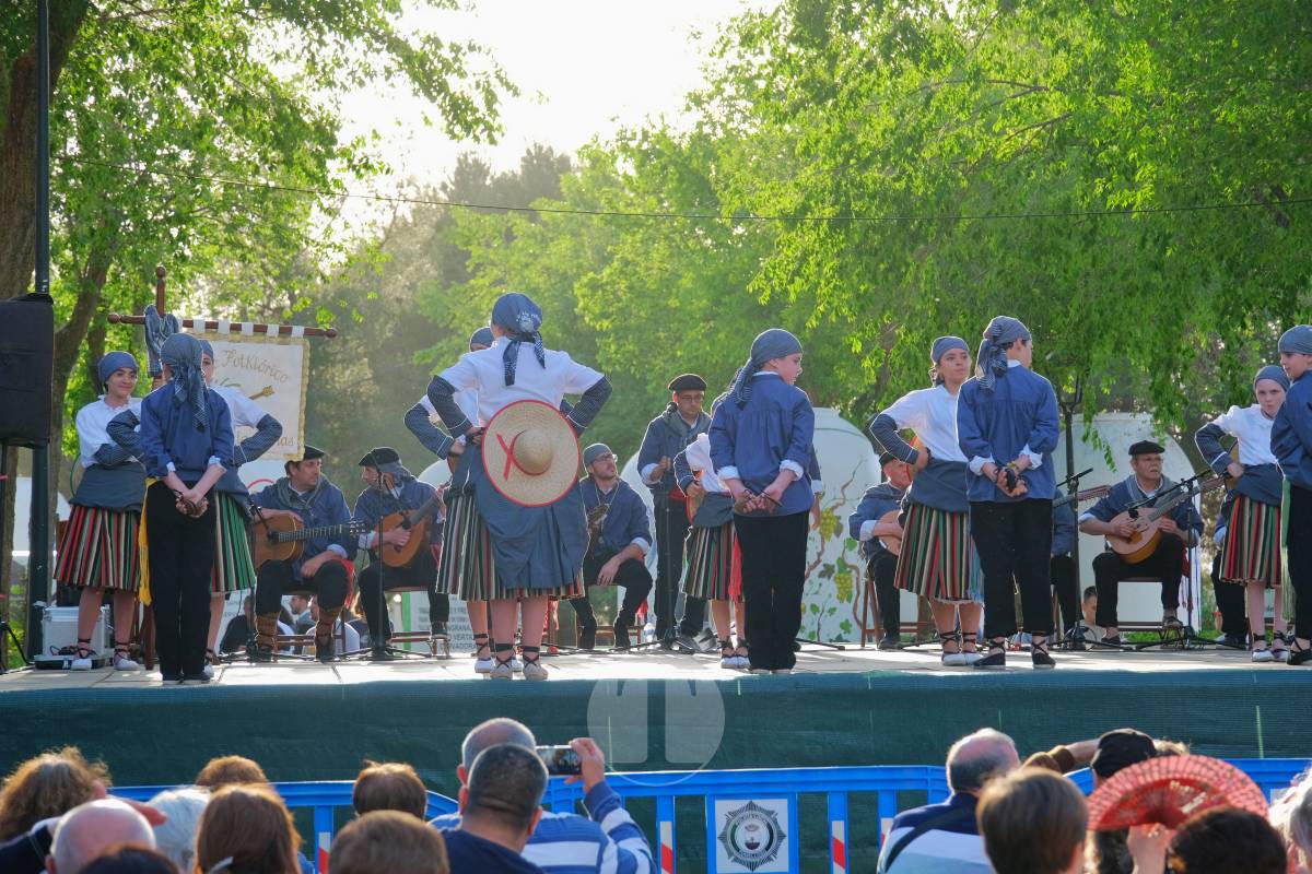 El X Festival Folklórico de Romería llena Pinilla de música, baile y tradición