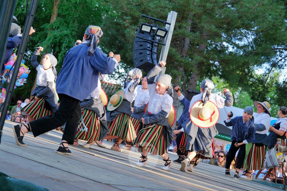 El X Festival Folklórico de Romería llena Pinilla de música, baile y tradición