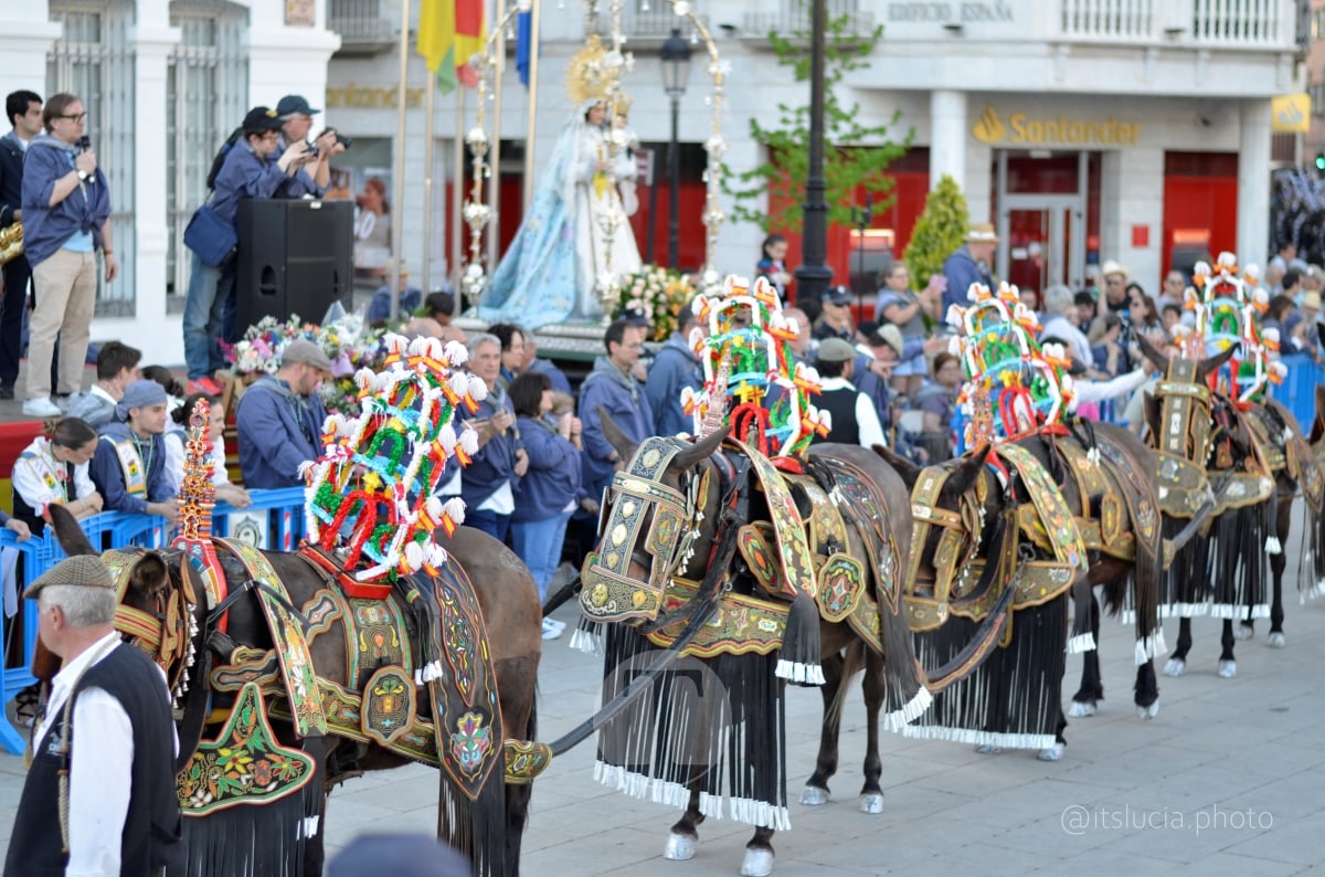 Lucía Moreno y Paloma Morales retratan la emoción de la llegada de la Virgen de las Viñas a Tomelloso