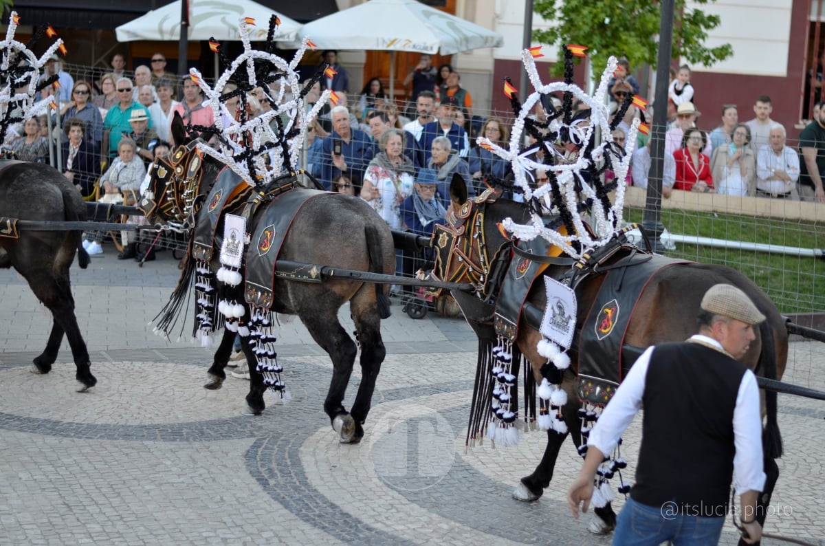 Lucía Moreno y Paloma Morales retratan la emoción de la llegada de la Virgen de las Viñas a Tomelloso