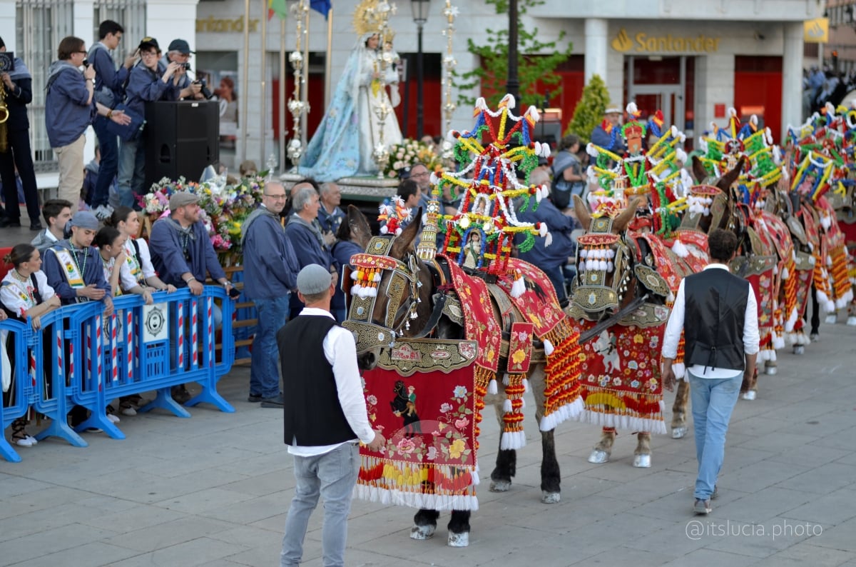 Lucía Moreno y Paloma Morales retratan la emoción de la llegada de la Virgen de las Viñas a Tomelloso