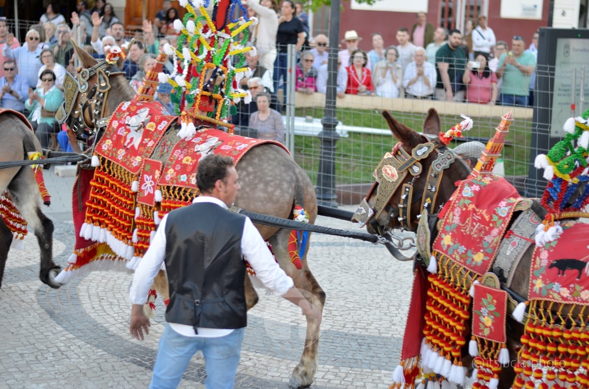 Lucía Moreno y Paloma Morales retratan la emoción de la llegada de la Virgen de las Viñas a Tomelloso