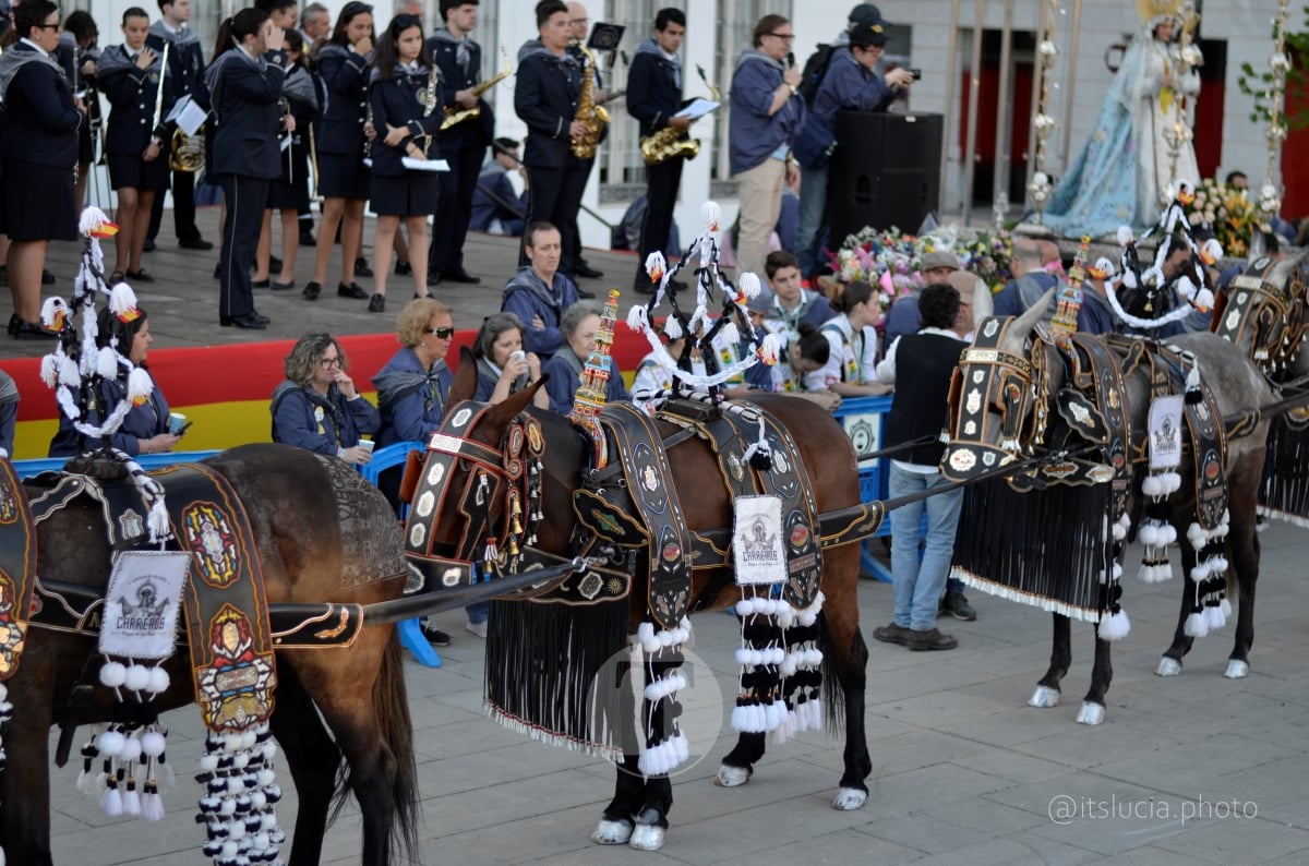 Lucía Moreno y Paloma Morales retratan la emoción de la llegada de la Virgen de las Viñas a Tomelloso