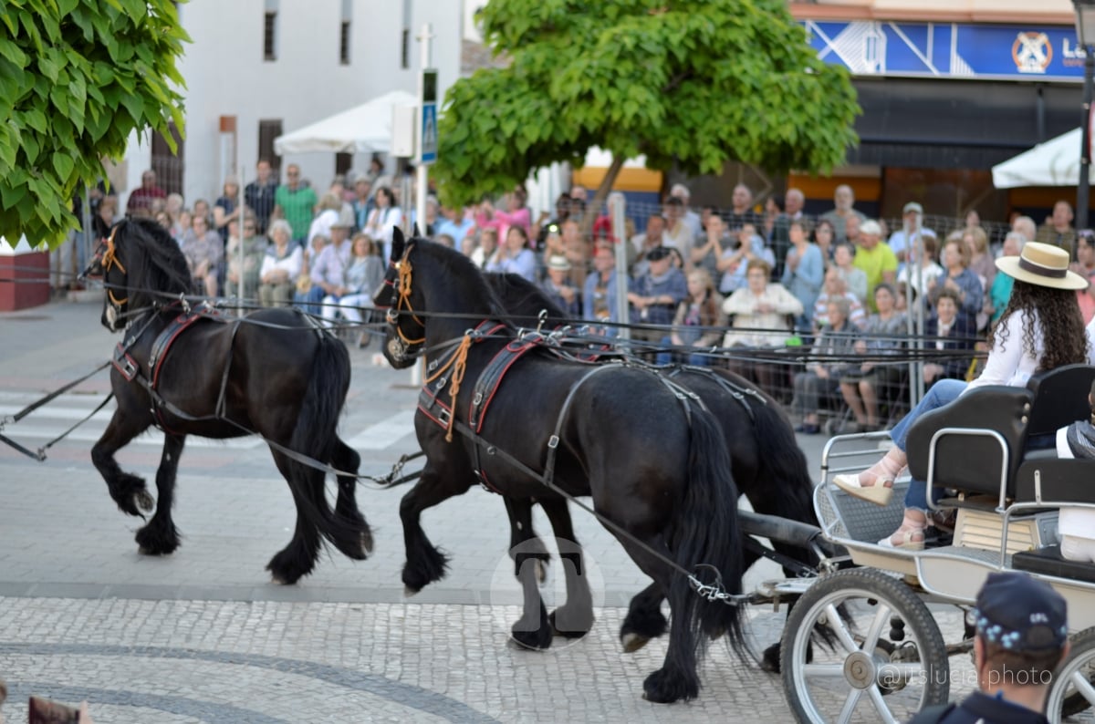 Lucía Moreno y Paloma Morales retratan la emoción de la llegada de la Virgen de las Viñas a Tomelloso